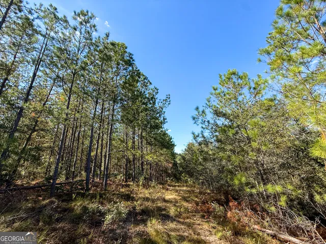 $1,325,437 | 0 4th Street Extension, Alma, GA 31510