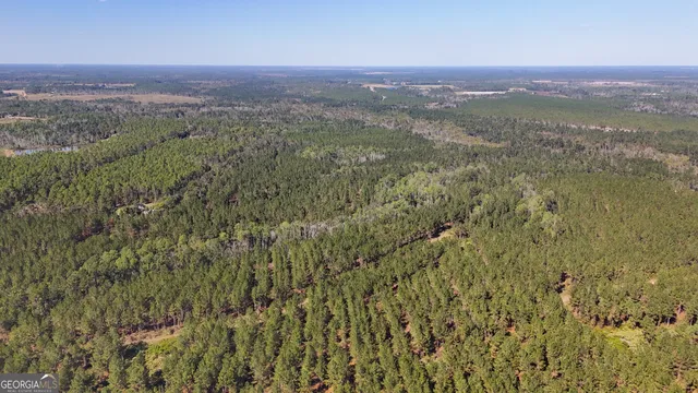a view of a city with lush green forest