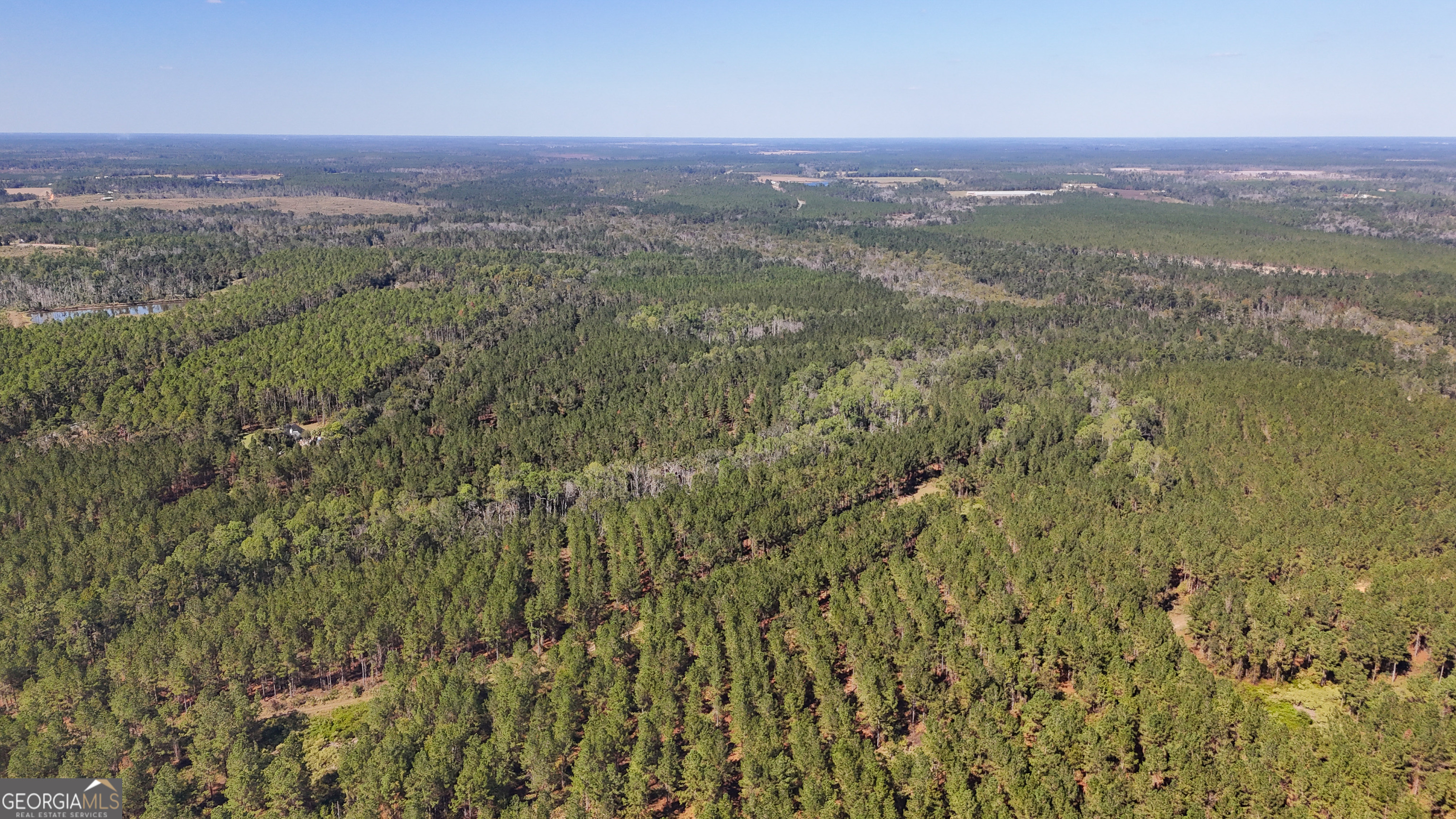 0 4th Street Extension Alma, GA 31510 - Photo 6 of 27 a view of a city with lush green forest