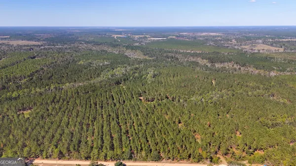 a view of a city with lush green forest
