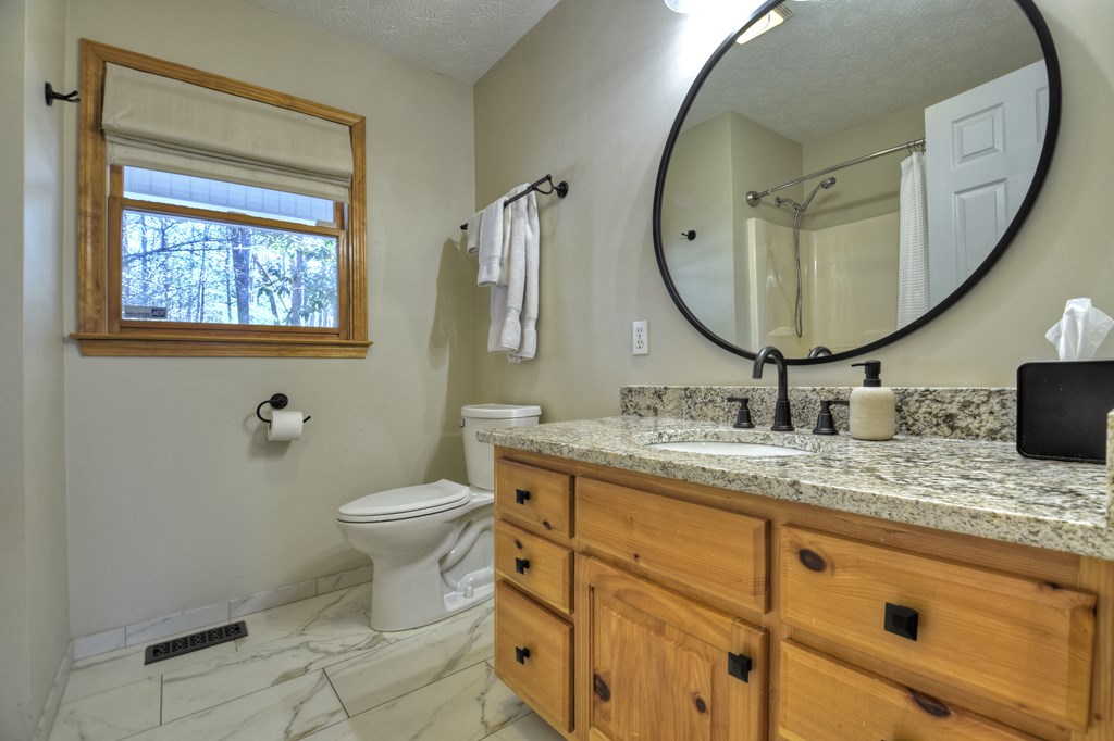 169 Pine Ridge Road Ellijay, GA 30536 - Photo 15 of 37 Main level Bathroom