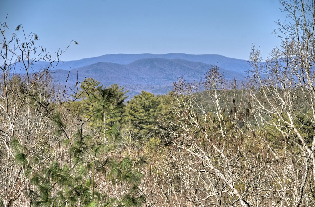 169 Pine Ridge Road Ellijay, GA 30536 - Photo 3 of 37 Long Range Mountain View