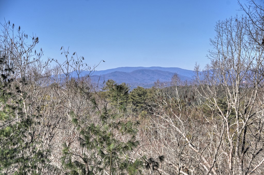169 Pine Ridge Road Ellijay, GA 30536 - Photo 34 of 37 Long Range view/ winter