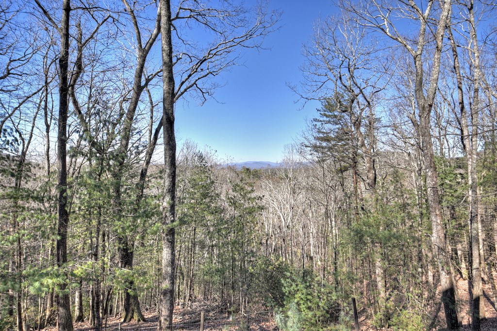 169 Pine Ridge Road Ellijay, GA 30536 - Photo 35 of 37 Long Range view/winter