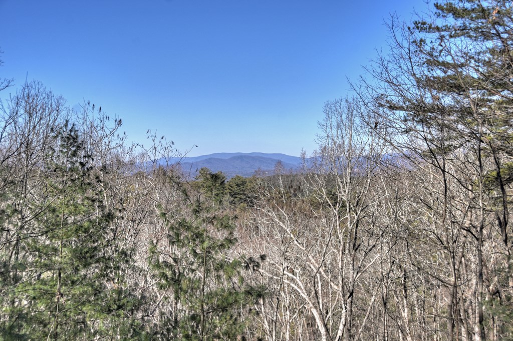 169 Pine Ridge Road Ellijay, GA 30536 - Photo 36 of 37 Long Range view / winter