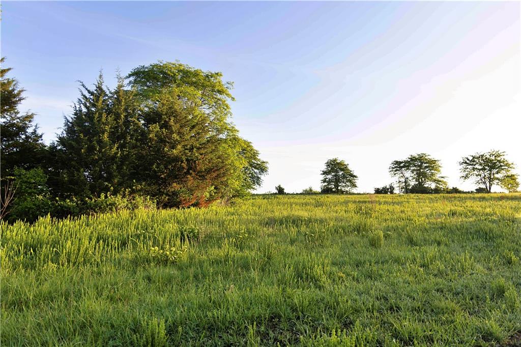Murray Rd Road Polo, MO 64671 - Photo 17 of 53