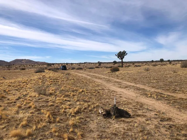 $13,900 | 0 218th Street, Lancaster, CA 93535