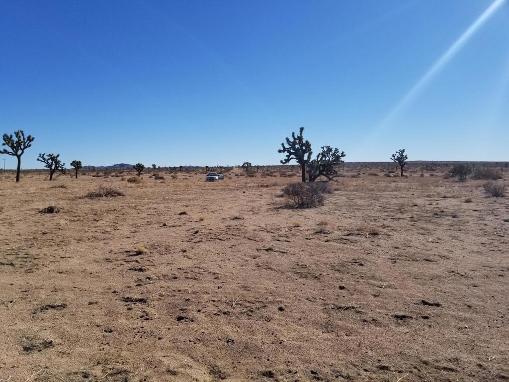 0 218th Street Lancaster, CA 93535 - Photo 2 of 12 20211029_094245