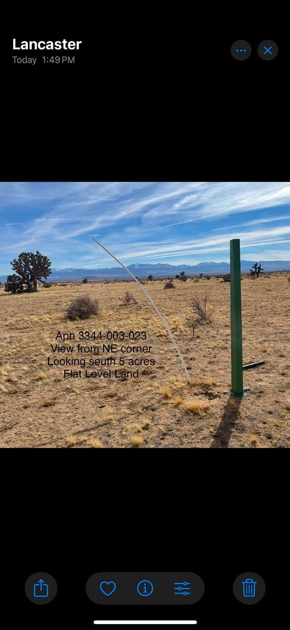 0 218th Street Lancaster, CA 93535 - Photo 6 of 12 IMG_6666