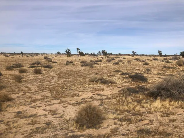 $13,900 | 0 218th Street, Lancaster, CA 93535