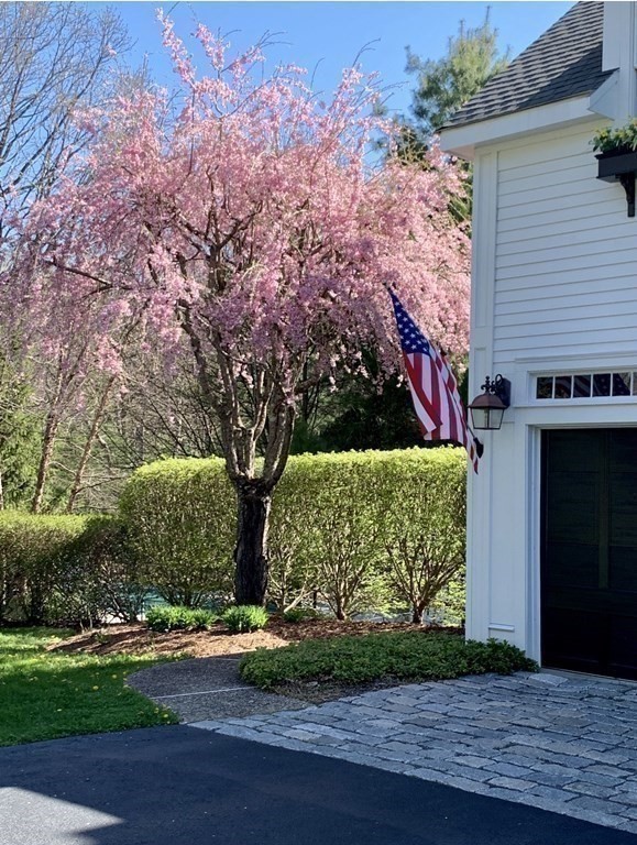 39 Vine Brook Road Medfield, MA 02052 - Photo 38 of 42 a view of backyard with wooden fence