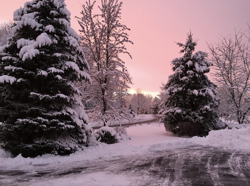 39 Vine Brook Road Medfield, MA 02052 - Photo 40 of 42 a view of a covered with snow in the background