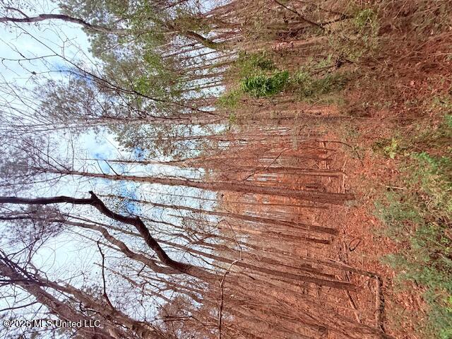 Busy Corner Road Gloster, MS 39638 - Photo 13 of 27 IMG_2429