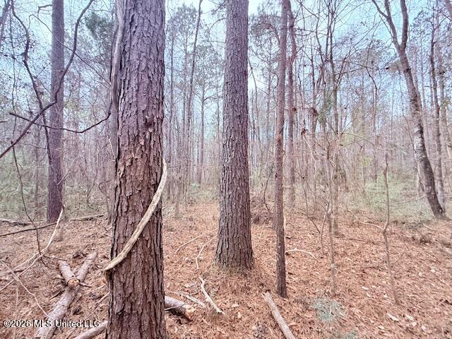Busy Corner Road Gloster, MS 39638 - Photo 15 of 27 IMG_2431