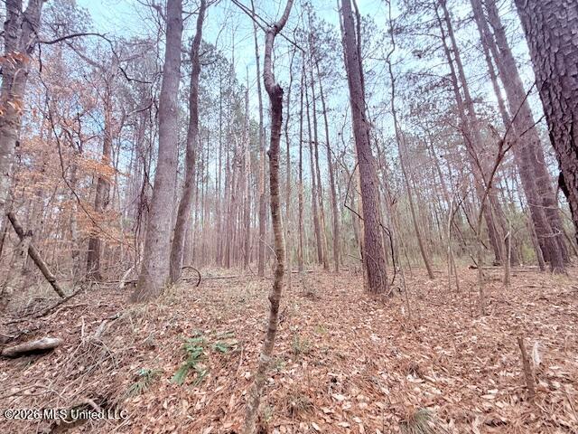 Busy Corner Road Gloster, MS 39638 - Photo 17 of 27 IMG_2433