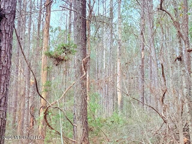 Busy Corner Road Gloster, MS 39638 - Photo 20 of 27 IMG_2436