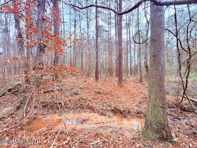 Busy Corner Road Gloster, MS 39638 - Photo 21 of 27 IMG_2437_23