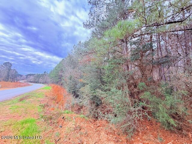 Busy Corner Road Gloster, MS 39638 - Photo 3 of 27 IMG_2419