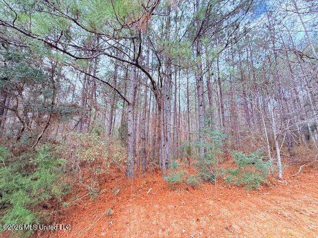 Busy Corner Road Gloster, MS 39638 - Photo 4 of 27 IMG_2420