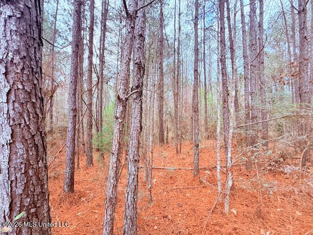Busy Corner Road Gloster, MS 39638 - Photo 5 of 27 IMG_2421