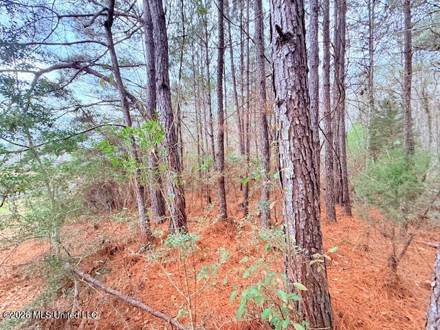 Busy Corner Road Gloster, MS 39638 - Photo 6 of 27 IMG_2422