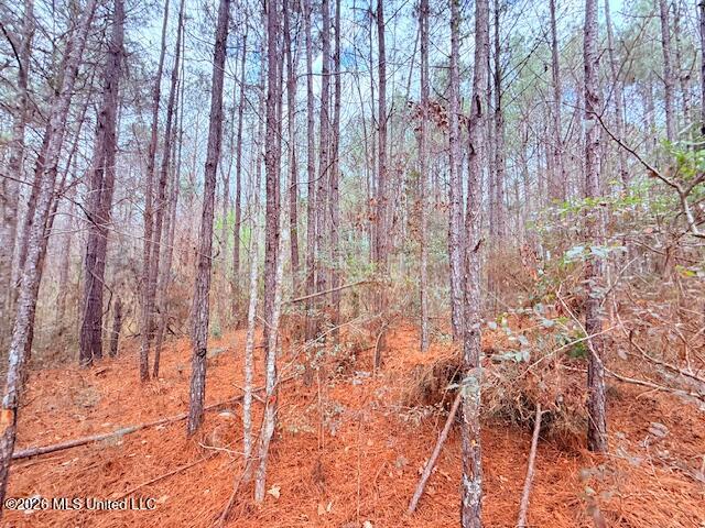 Busy Corner Road Gloster, MS 39638 - Photo 7 of 27 IMG_2423