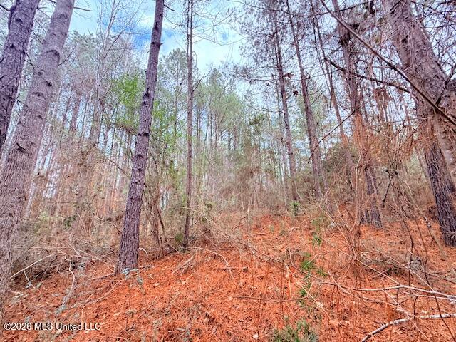 Busy Corner Road Gloster, MS 39638 - Photo 8 of 27 IMG_2424