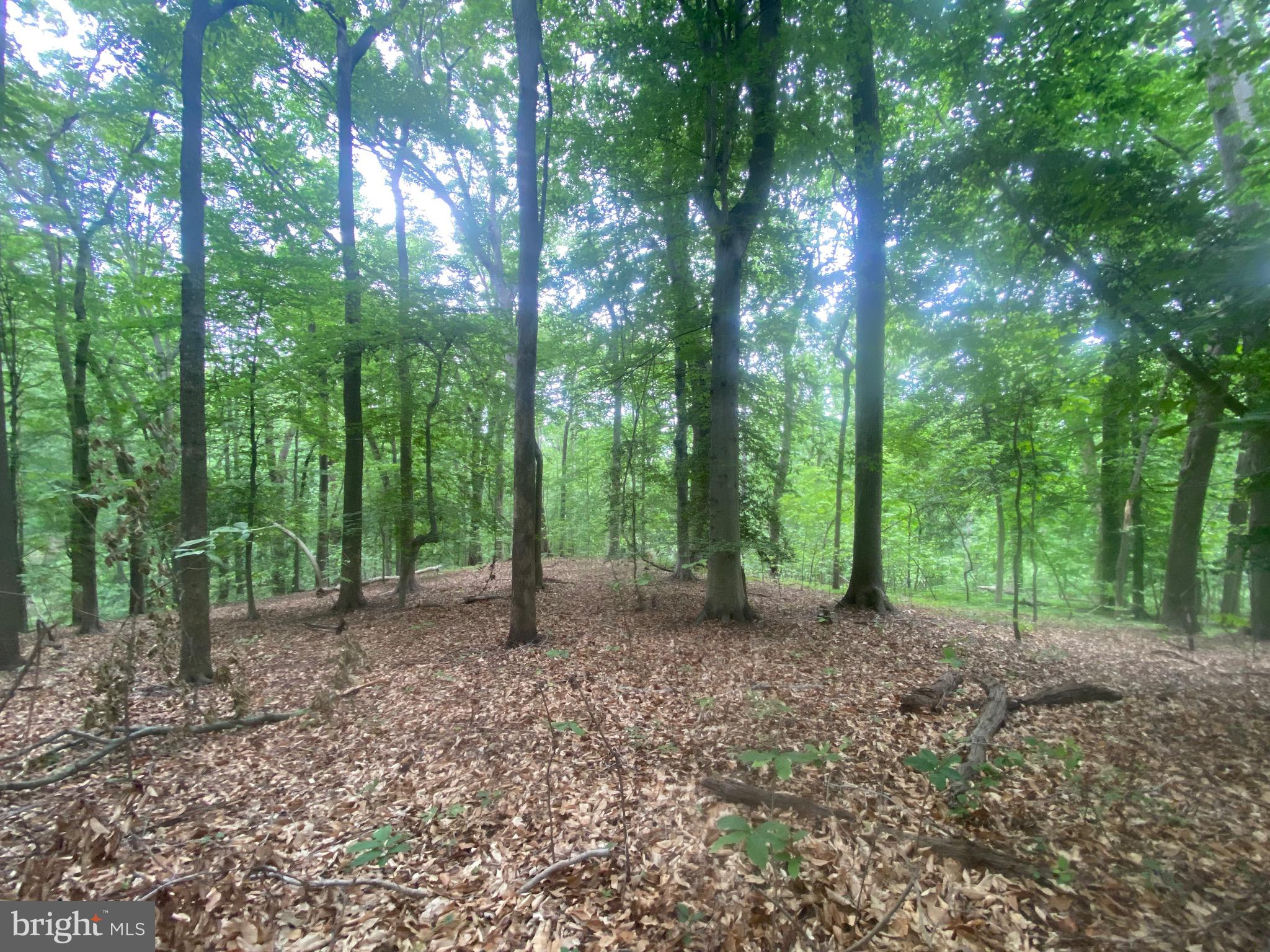 Reserve Road Accokeek, MD 20607 - Photo 3 of 20