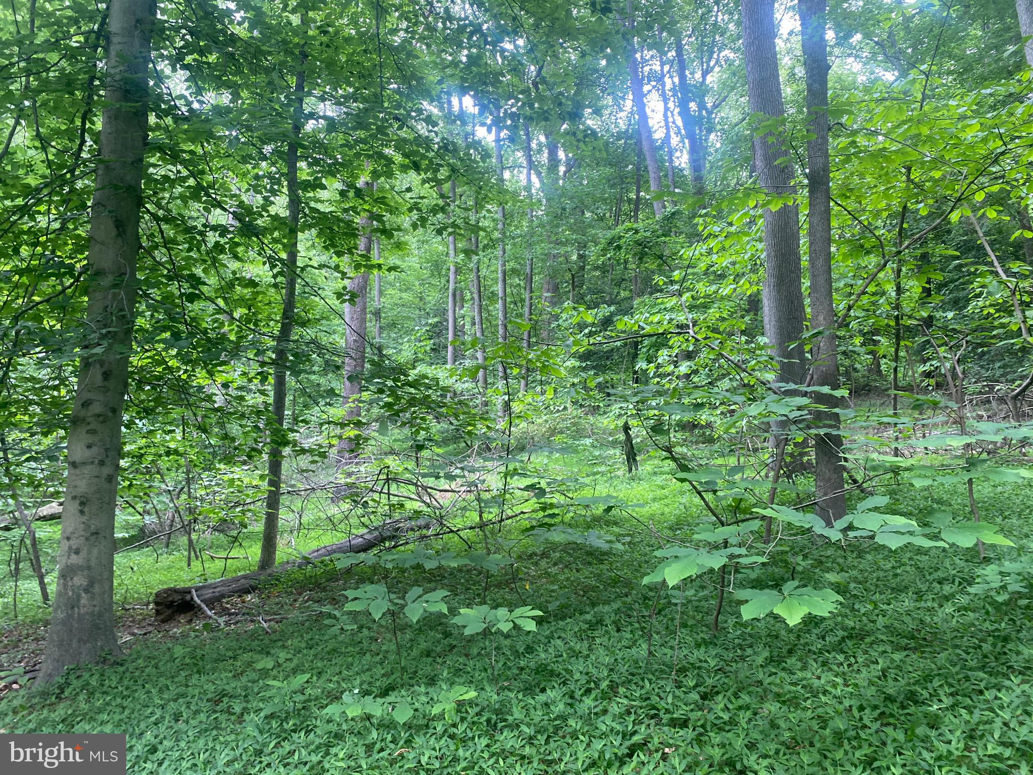 Reserve Road Accokeek, MD 20607 - Photo 4 of 20