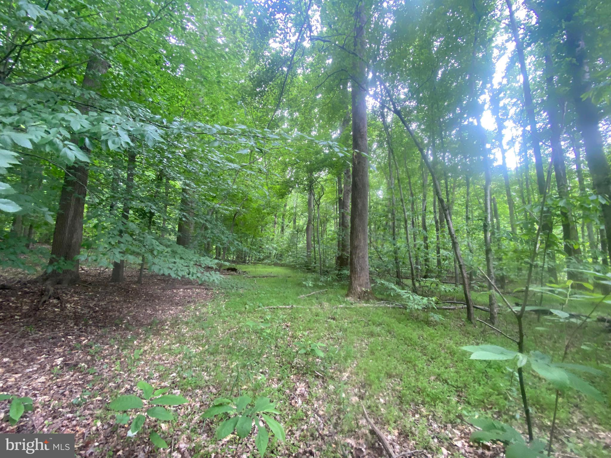 Reserve Road Accokeek, MD 20607 - Photo 5 of 20