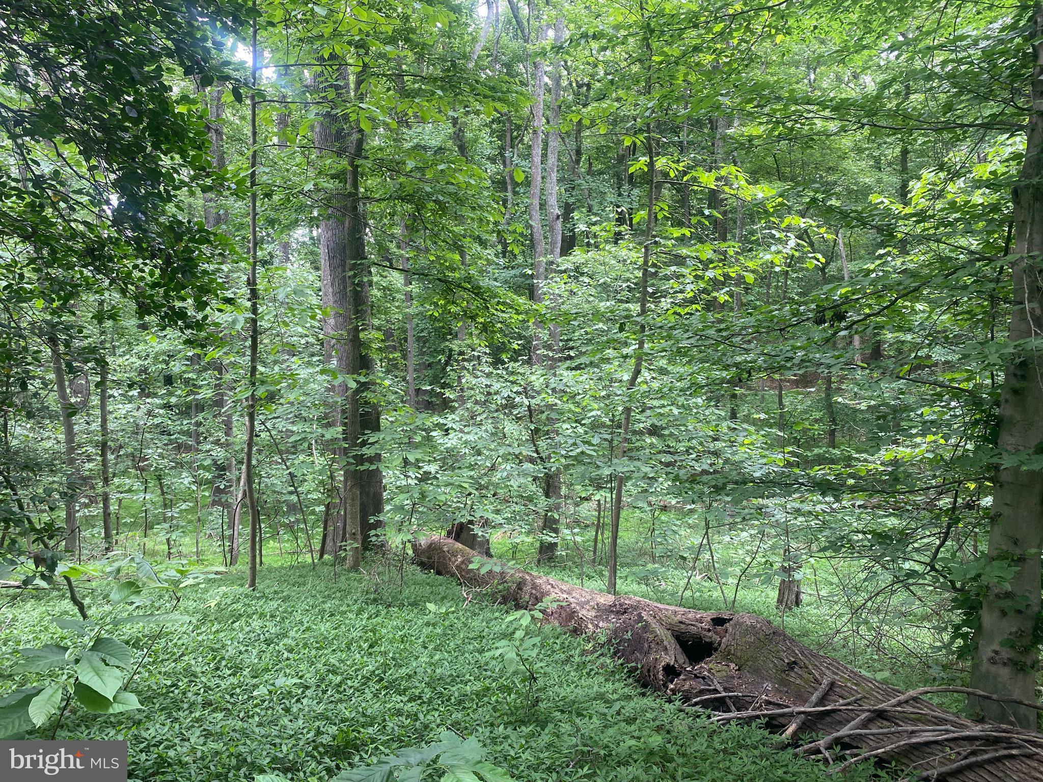 Reserve Road Accokeek, MD 20607 - Photo 6 of 20