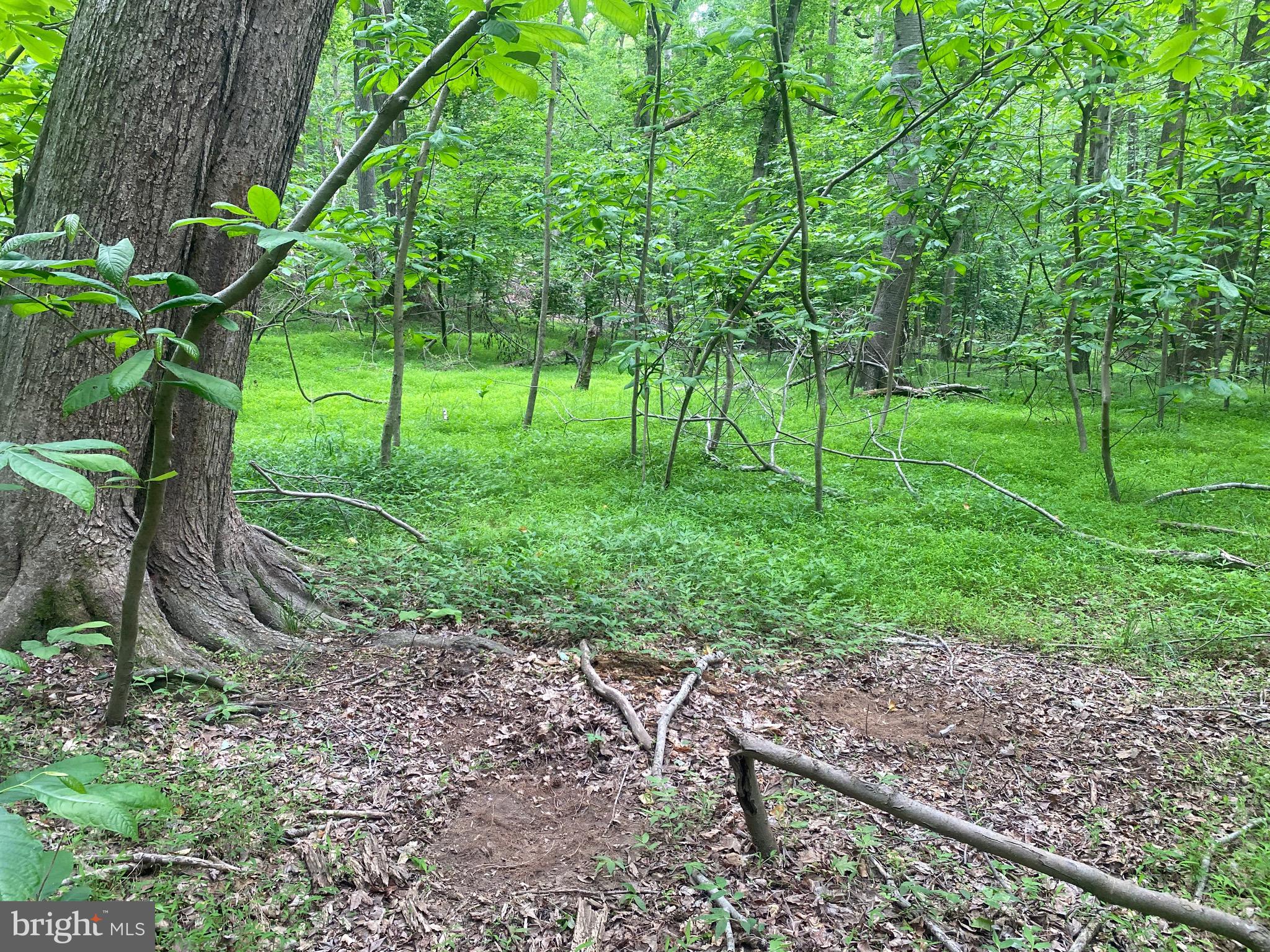 Reserve Road Accokeek, MD 20607 - Photo 8 of 20