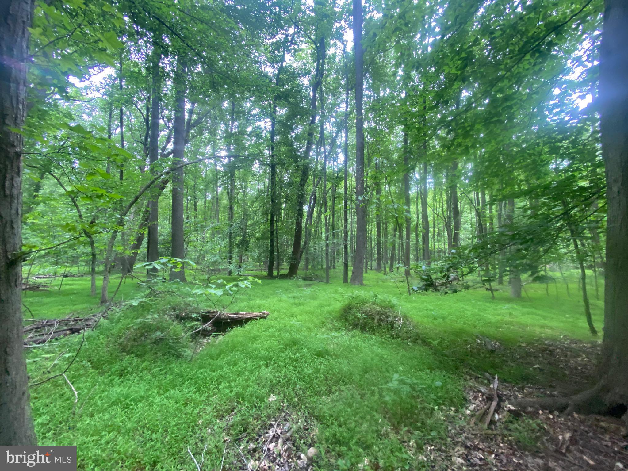 Reserve Road Accokeek, MD 20607 - Photo 9 of 20