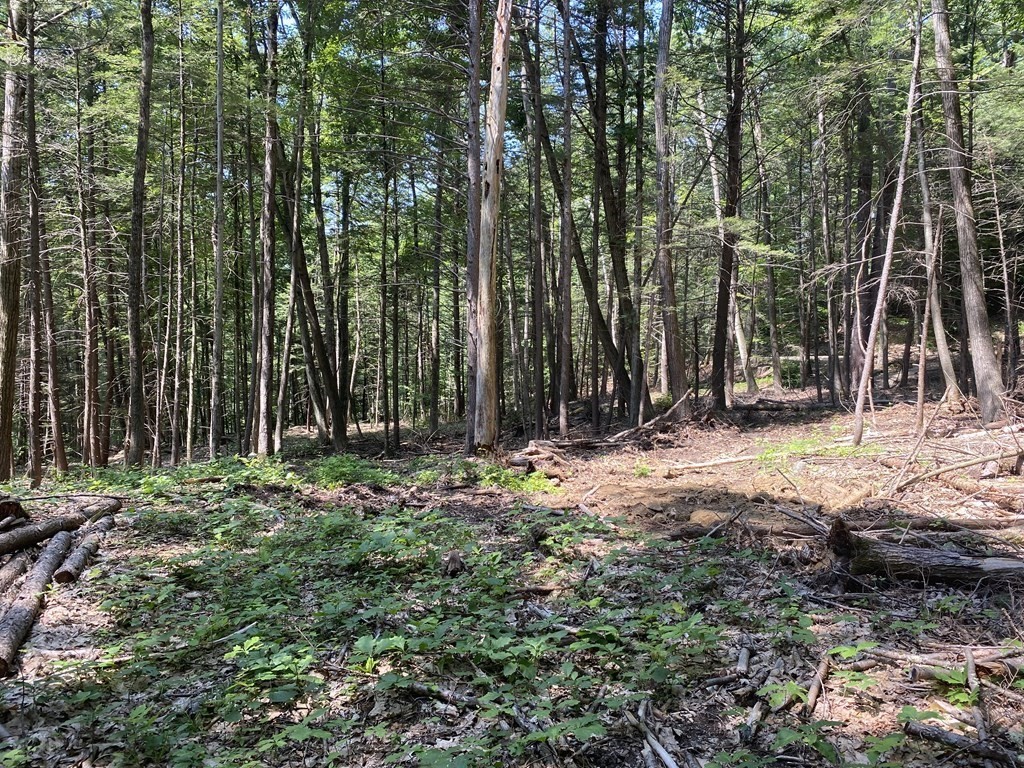 0 Bailey Road Buckland, MA 01338 - Photo 4 of 13 Gallery Image 4