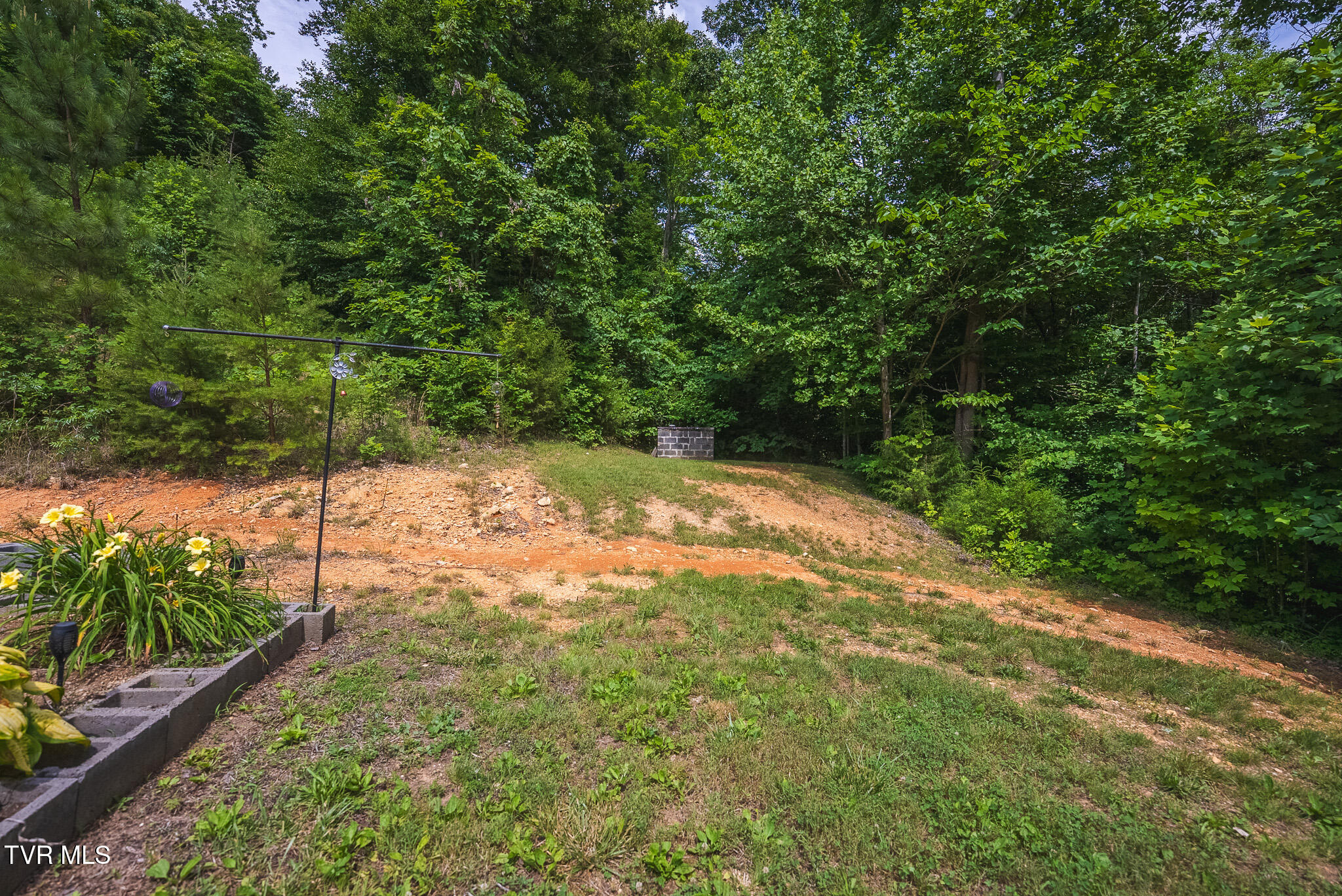 2733 Rackum Road Thorn Hill, TN 37881 - Photo 37 of 43 DSC01932