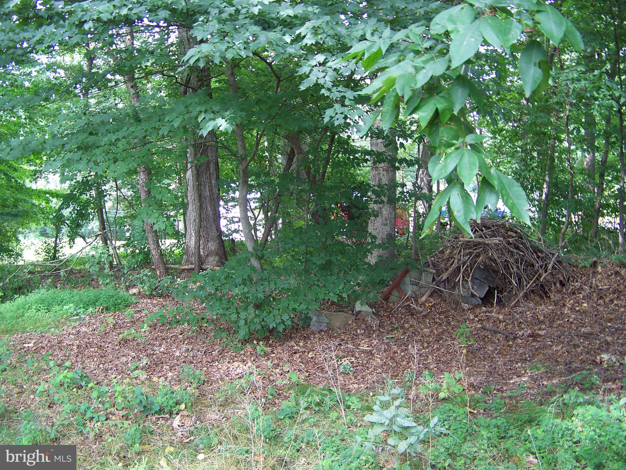 19415 Graystone Road White Hall, MD 21161 - Photo 55 of 58
