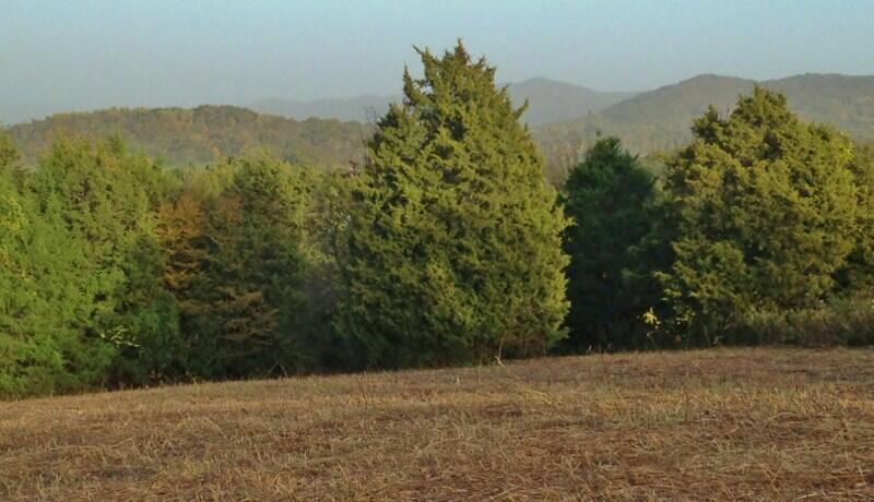 Fairfax Road Newport, TN 37821 - Photo 6 of 6 IMG_0830 (800x460) (3)