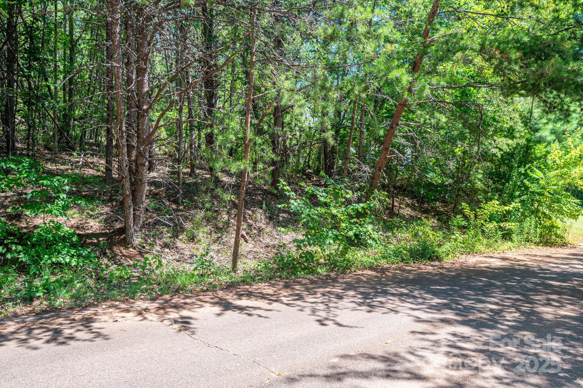 Lot 12 Meadow Crossing Drive Rutherfordton, NC 28139 - Photo 13 of 17 a wooden bench with view of trees