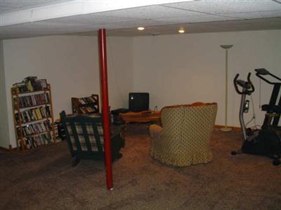 433 Owen Road Ionia, MI 48846 - Photo 2 of 10 Additional Photo
