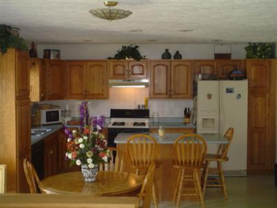 433 Owen Road Ionia, MI 48846 - Photo 7 of 10 Additional Photo