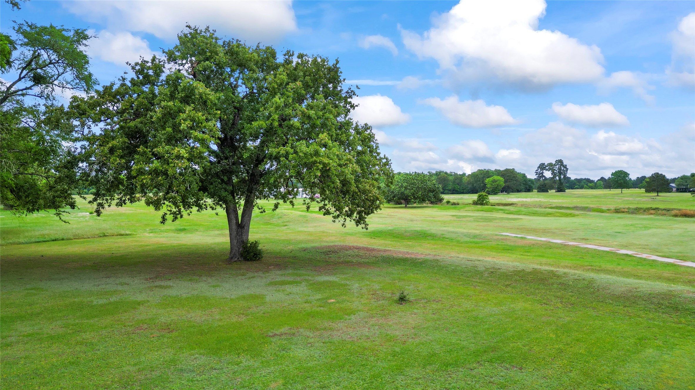 318 Jamestown Road Trinity, TX 75862 - Photo 40 of 43