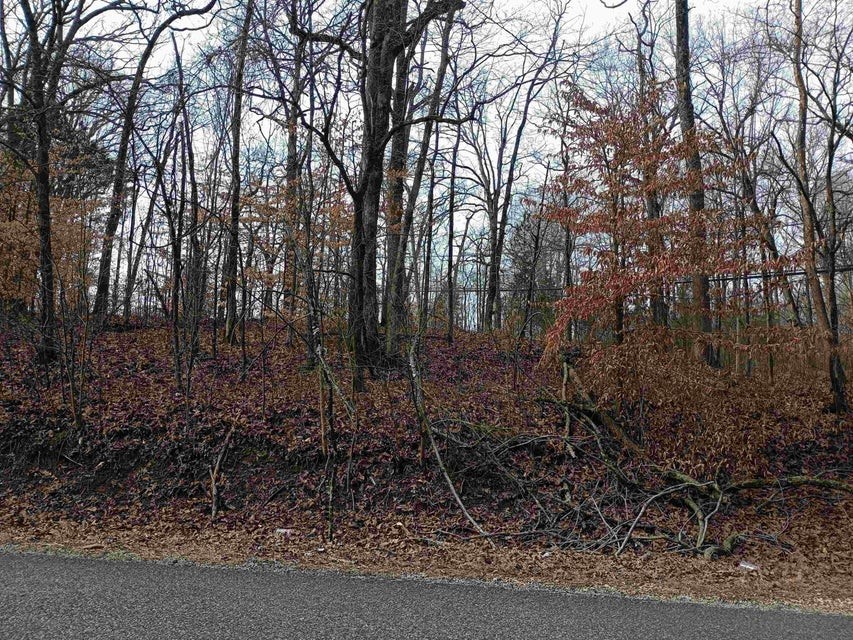 0 Highway 18 Medon, TN 38356 - Photo 4 of 9 a view of a forest with a trees