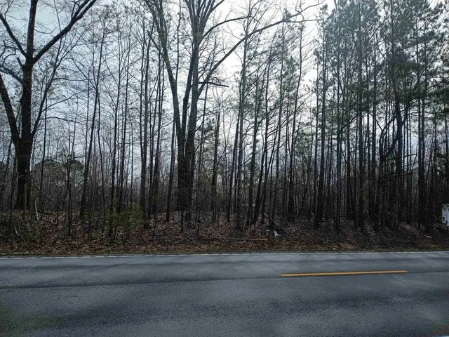 a view of backyard with green space