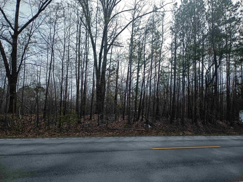 0 Highway 18 Medon, TN 38356 - Photo 5 of 9 a view of backyard with green space
