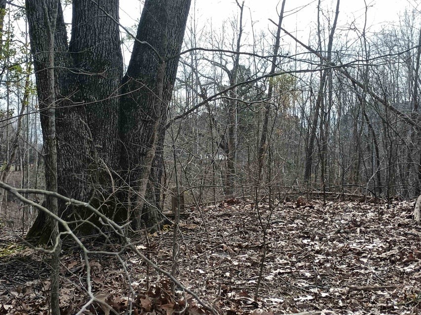0 Highway 18 Medon, TN 38356 - Photo 8 of 9 a view of house with a dry yard