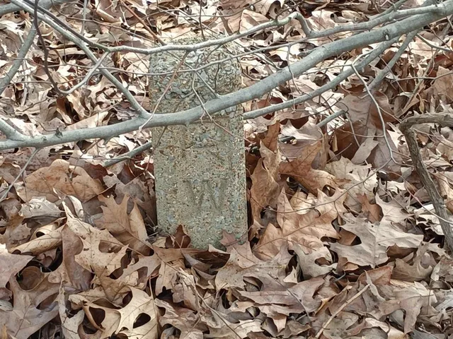 a close up of a shower curtain