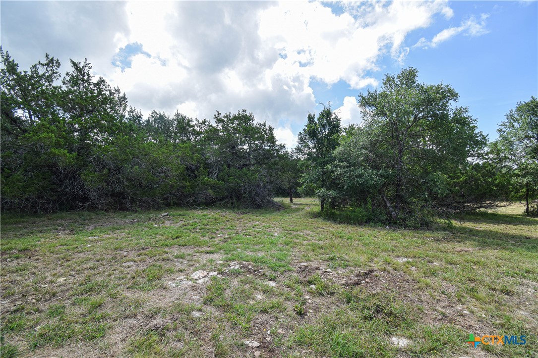 2114 Sparta Road Belton, TX 76513 - Photo 39 of 45