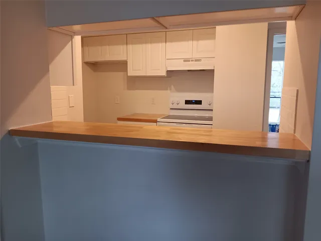 a view of kitchen cabinets and a sink