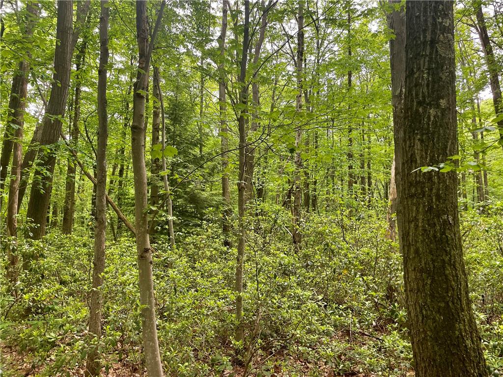 215 Shadowbrook Road Somerset, PA 15501 - Photo 8 of 11 Gallery Image 8