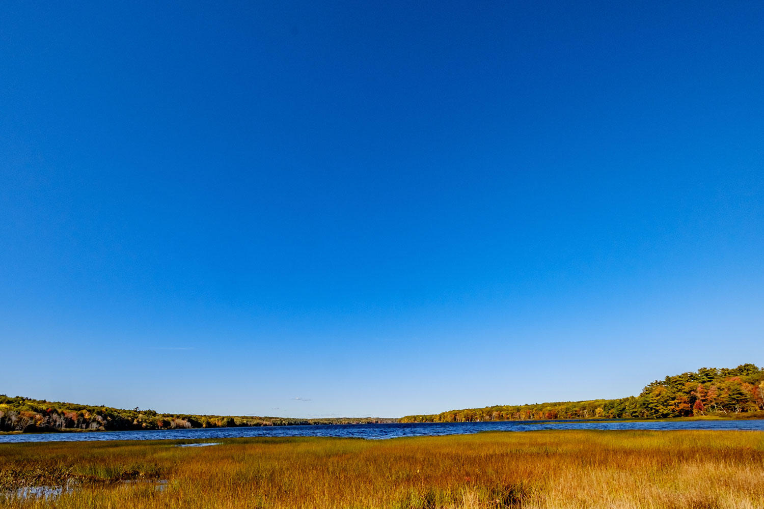 60 Duck Walk Warren, ME 04864 - Photo 40 of 43 20191015gp-61050